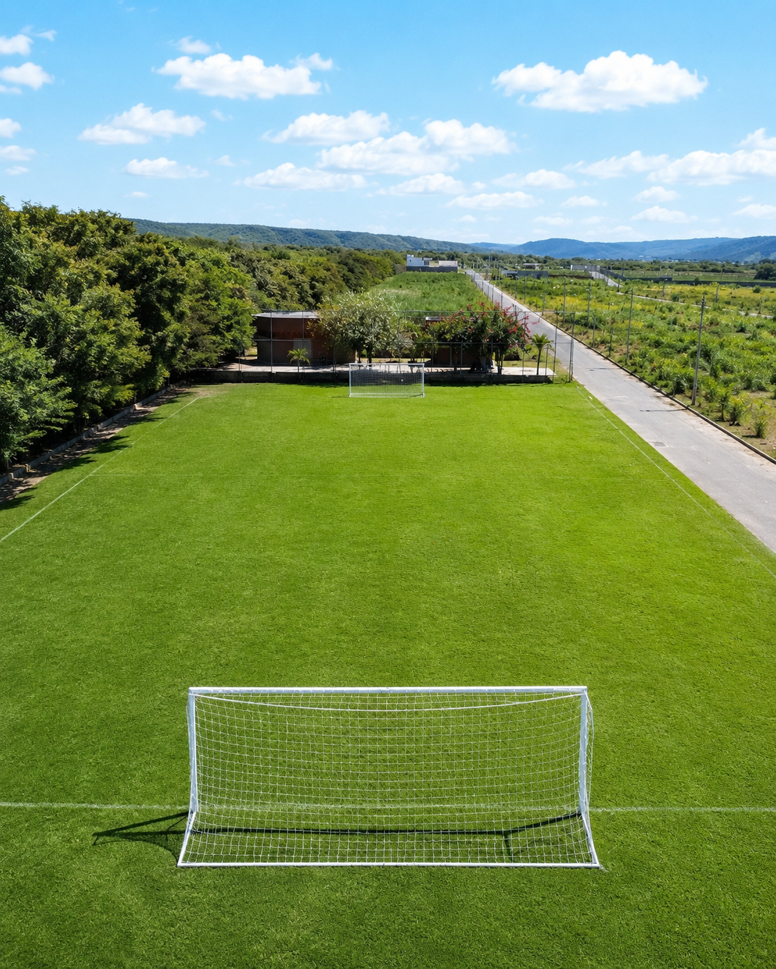 Campo